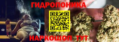 mdpv Новоалтайск