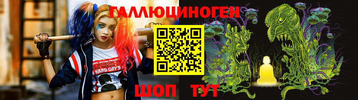 Псилоцибиновые грибы Psilocybe Ярцево
